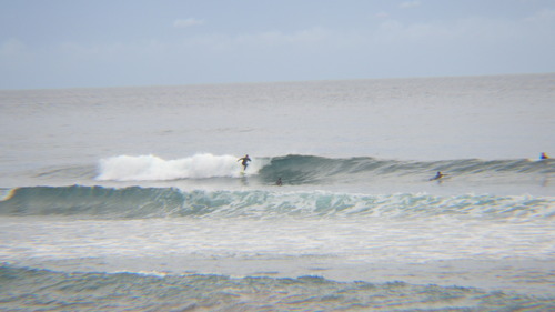 RIMG1035