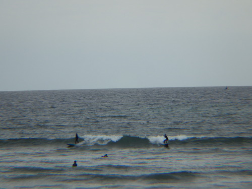 IMGP5031