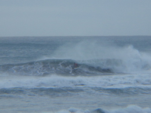 IMGP1138