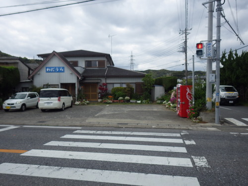 IMGP5041