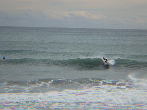 IMGP2873
