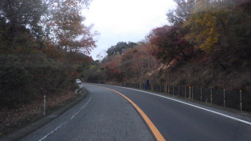 RIMG0963