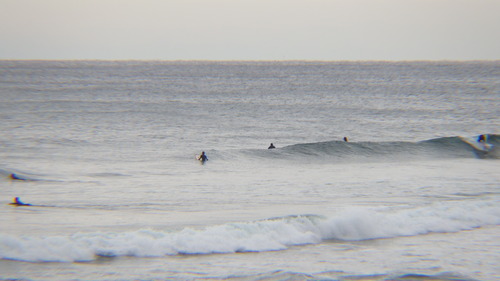 RIMG0993