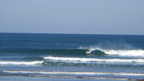 RIMG0543