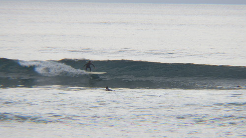 RIMG1037