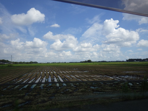 IMGP6734