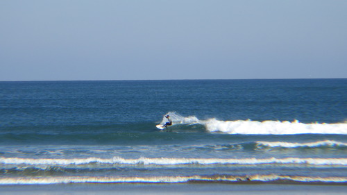 RIMG0544