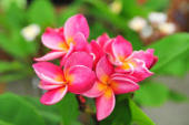 yjimage1