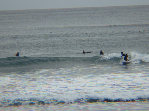 IMGP9407