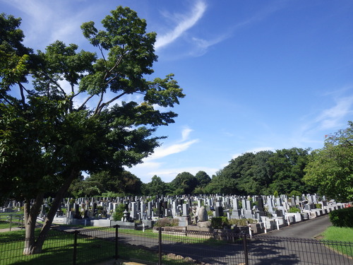 IMGP1104
