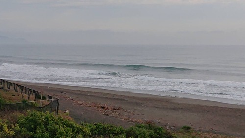 S__24936462
