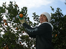 top_img02