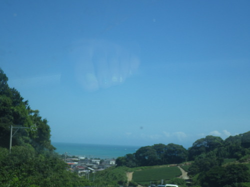 IMGP1298