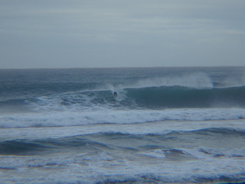 IMGP1140