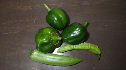RIMG0634