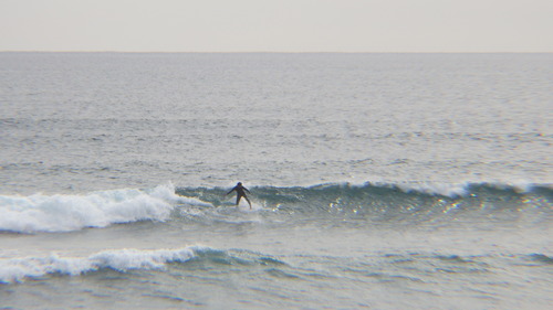 RIMG0884