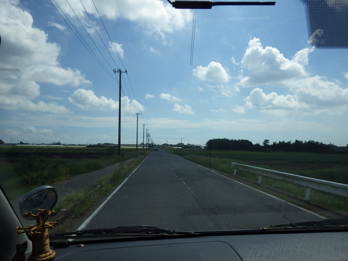 IMGP6733