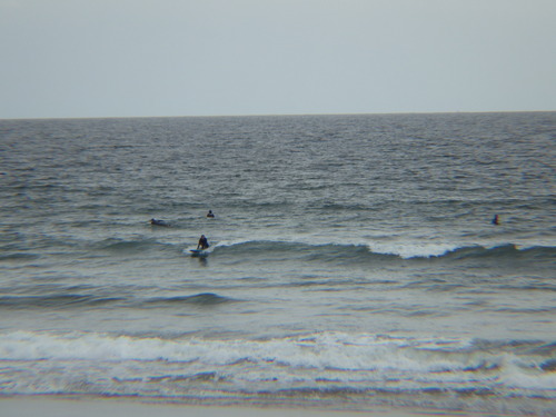 IMGP5034