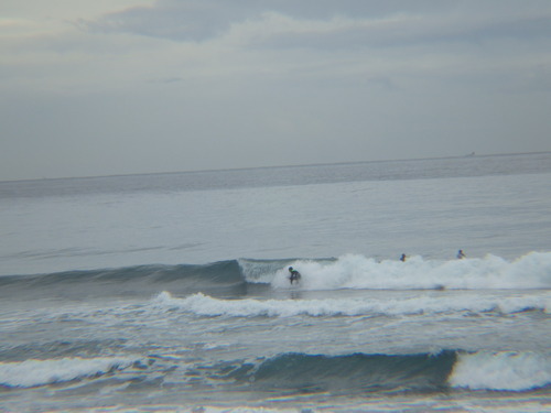 IMGP3243