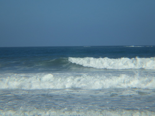 IMGP1219