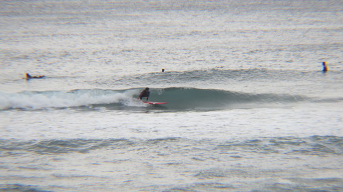 RIMG0987