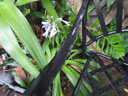IMGP0393