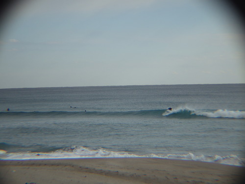 IMGP3954