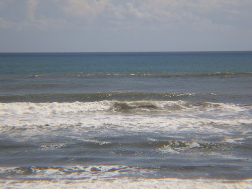 IMGP6739