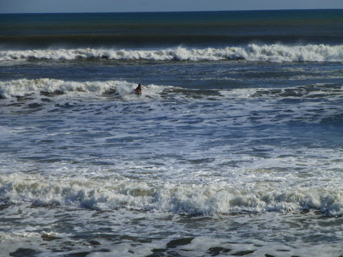 P1050019