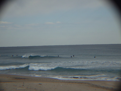 IMGP3955