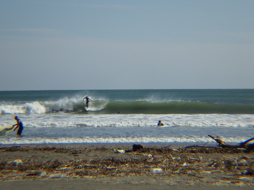 IMGP6857
