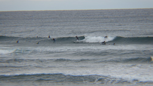 RIMG0988
