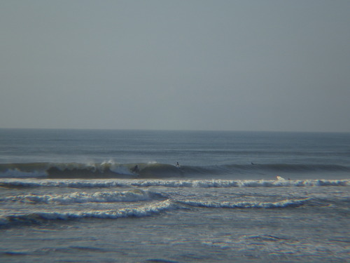 IMGP6809