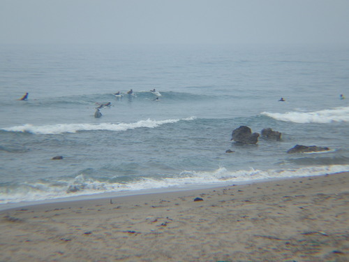 IMGP6132