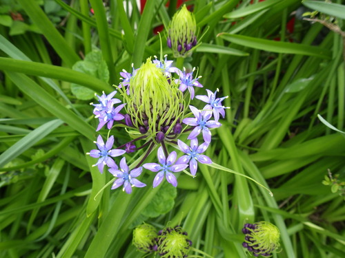 IMGP5043