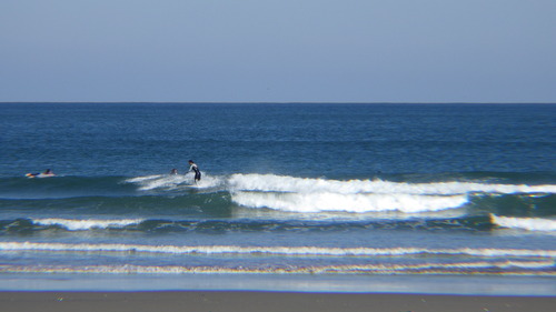 RIMG0545