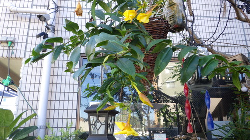 RIMG0573