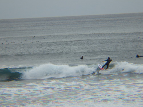 IMGP9408