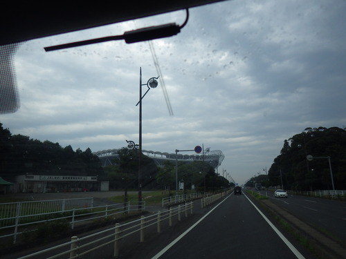 IMGP6028