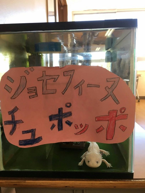 Image_3bd0f07