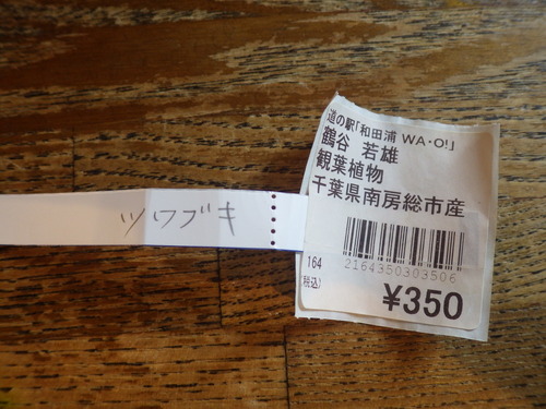 IMGP2973