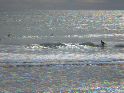 IMGP2872