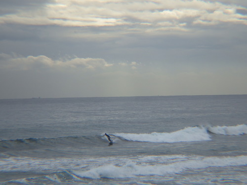 IMGP3245