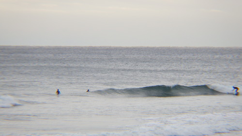 RIMG0994