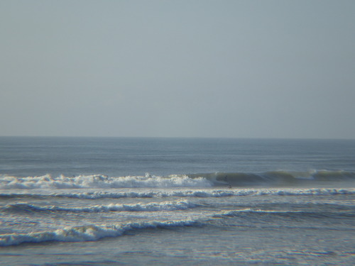 IMGP6810