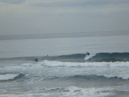 IMGP3242