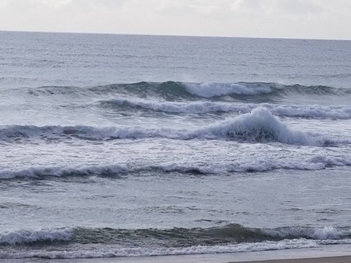S__22593550