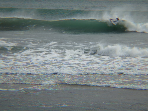 IMGP2875