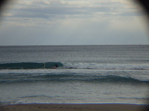 IMGP3957