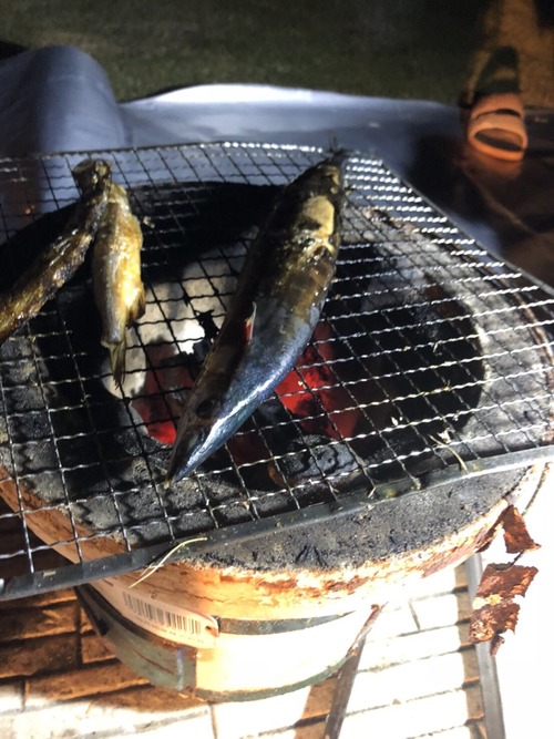 Image_36aa235